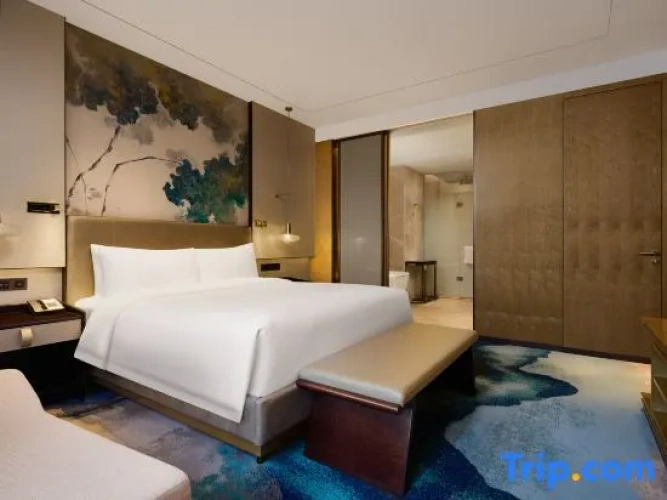 1 Bedroom Deluxe Suite with city view