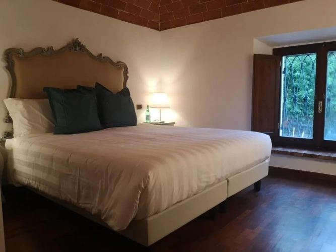 Standard Double room with garden view
