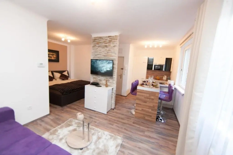 1 Bedroom Apartment