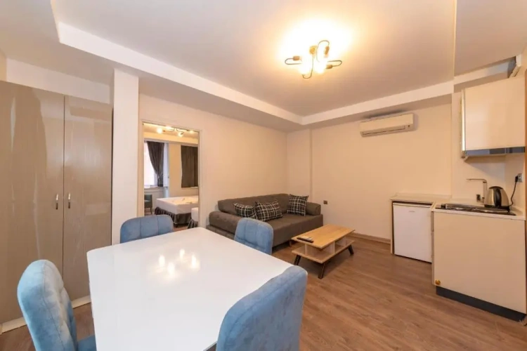 1 Bedroom Apartment