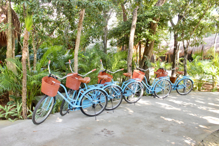 Kimpton Aluna Tulum photo 28