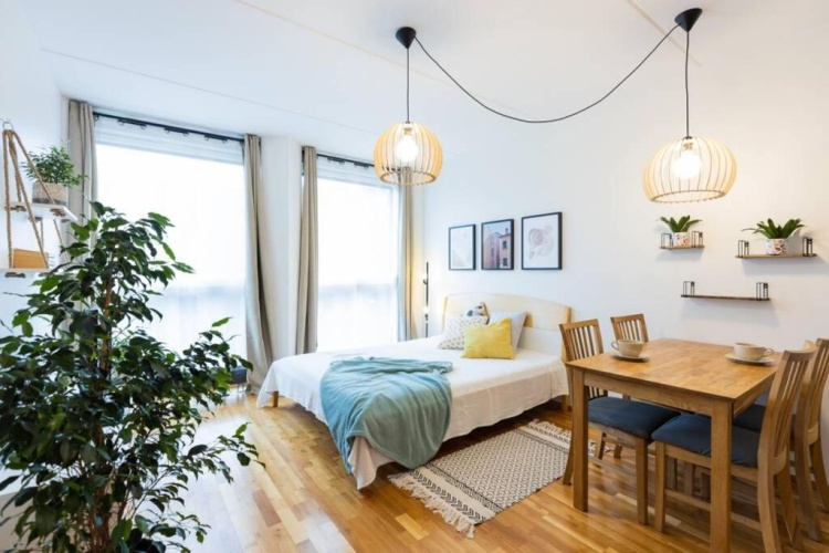 1 Bedroom Apartment