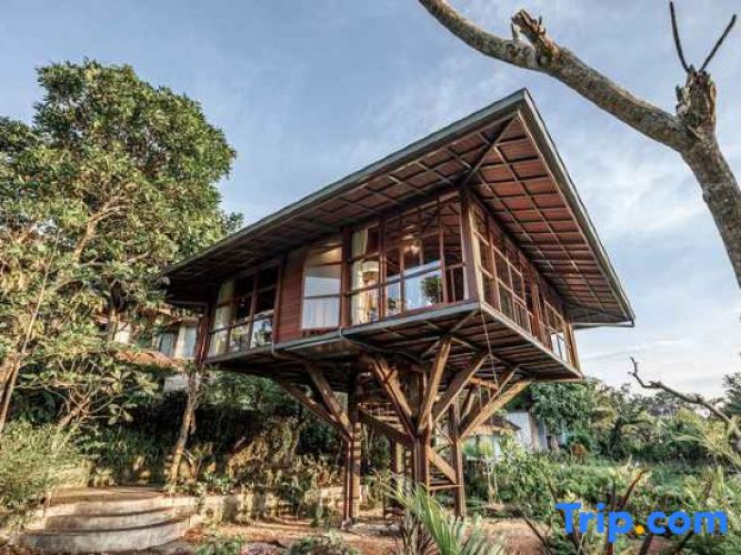 Grun Ubud