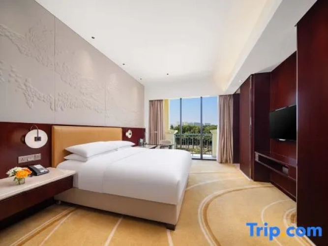 Deluxe Suite with city view