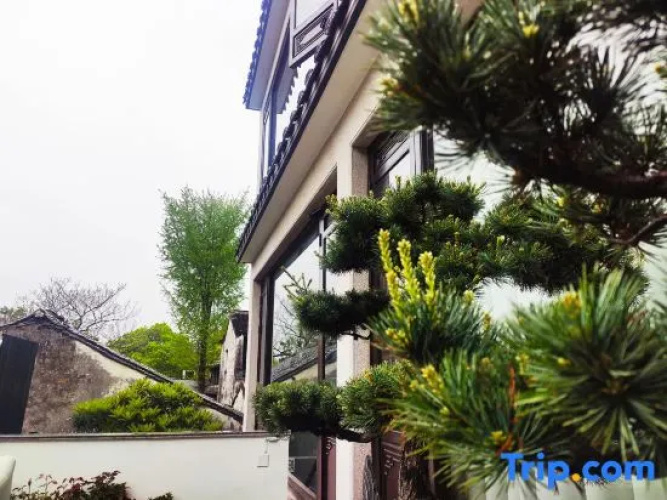 Youqi Boutique Hostel