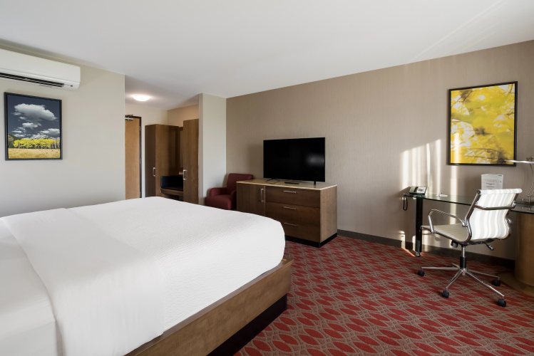 Hotel 11, MOD A Sonesta Collection photo 6