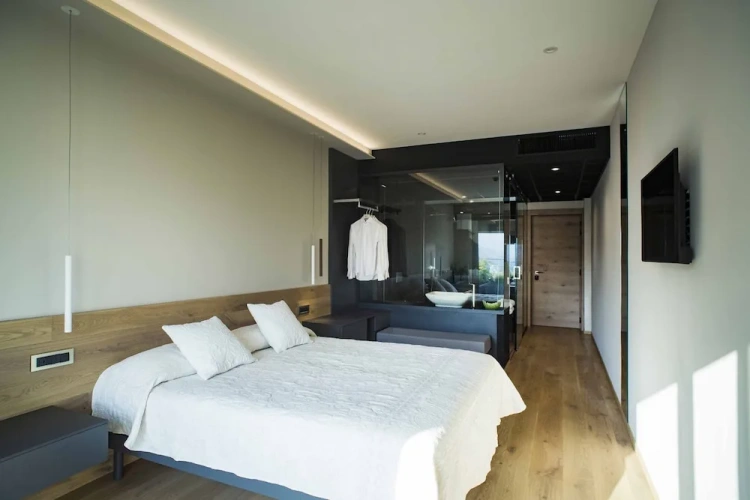 Business Double room with balcony and with view
