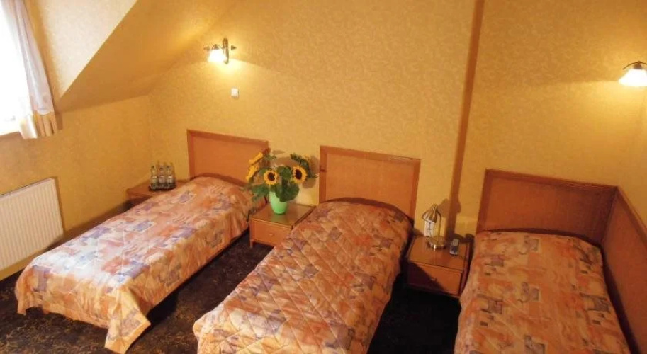 Hotel Calisia