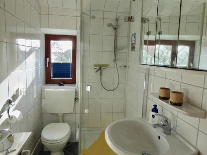 Haus-Scheel-2