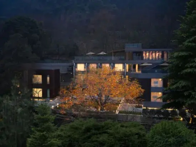 Qingsu Qingcheng private Tang forest