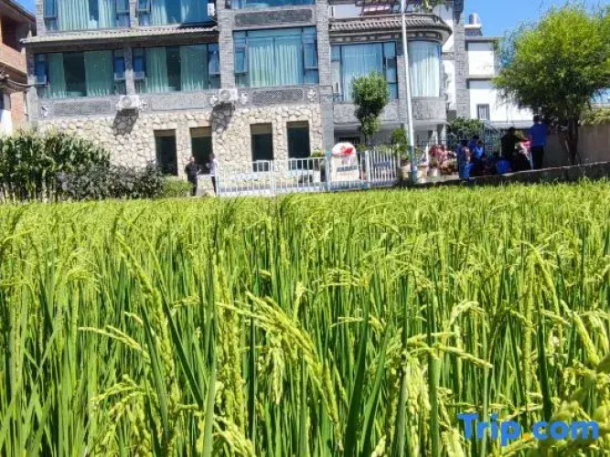 Dali Bugu Homestay