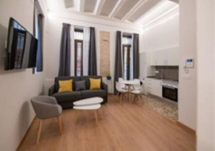 Basement Apartment