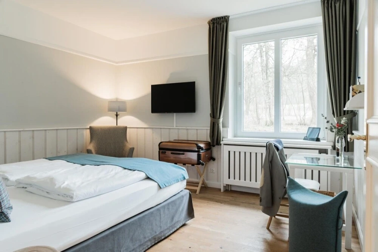 Standard Double room with balcony and with lake view