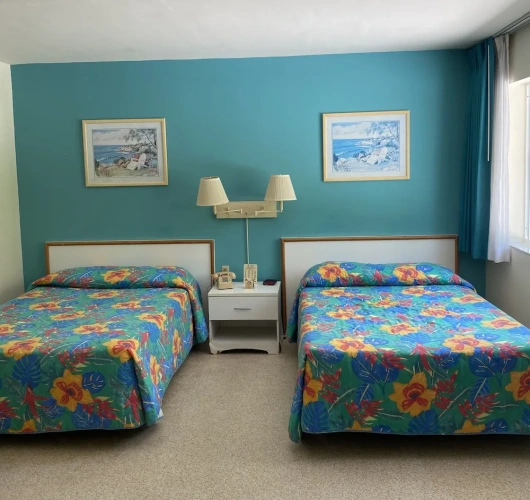 Standard Double room with courtyard view