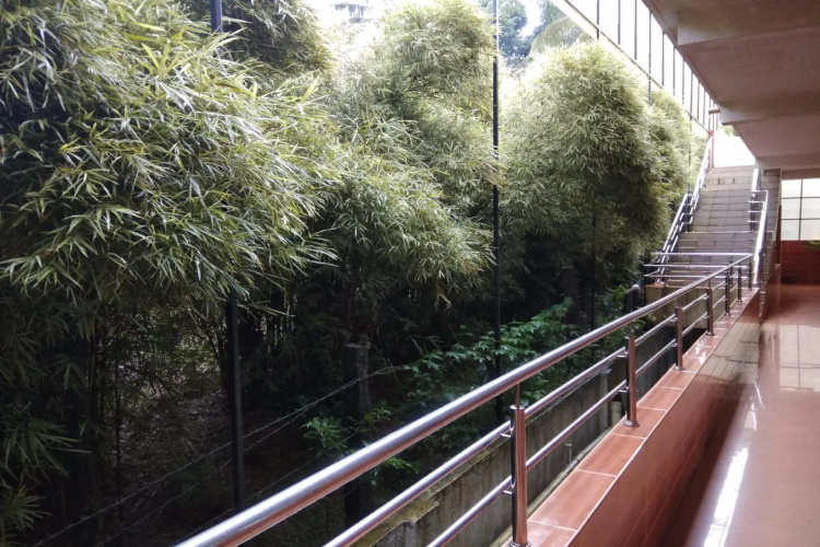 Aloka Residency