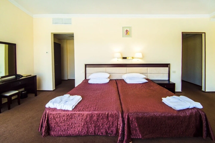 1 Bedroom Standard Twin room