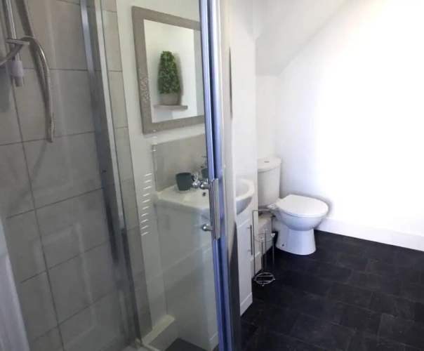 Standard Apartment