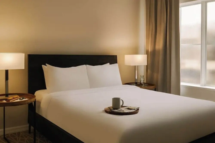 1 Bedroom Premium Double Suite