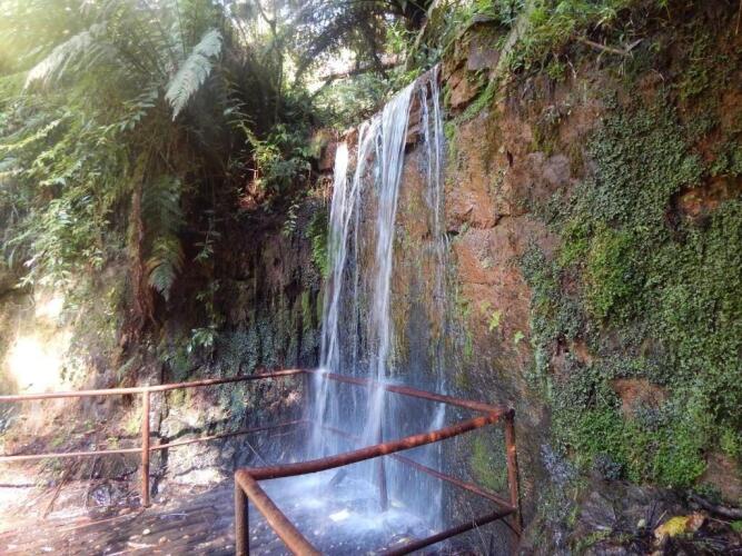 Hotel PlatanusOver view