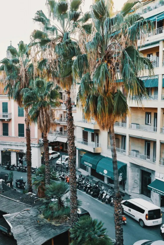 Sanremo Central Nest