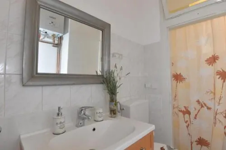 Olive Tree City Apartment
