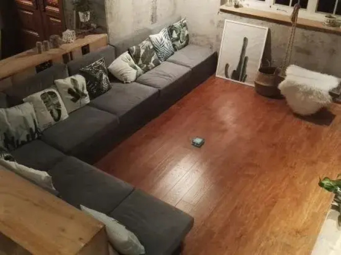 Meow Houzzz