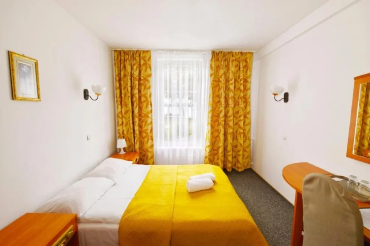 Standard Double room with lake view