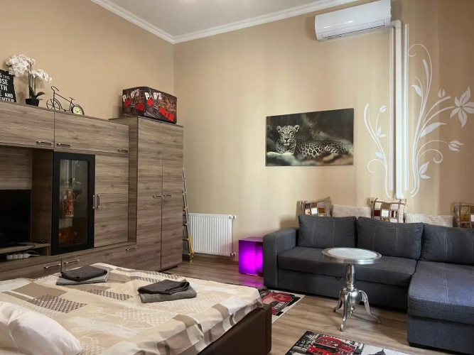 Downtown Apartment