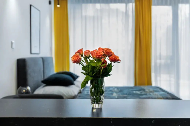 Easy Rent Apartments - Silver 8
