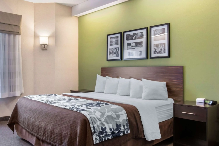 Standard Double room