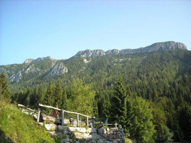Standard Single room with view