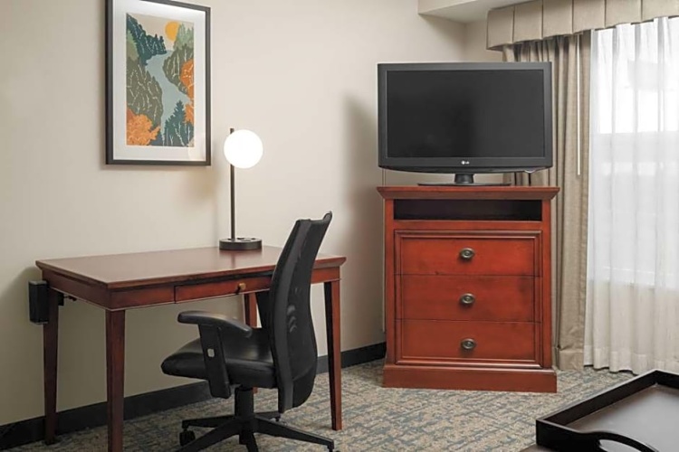 1 Bedroom Suite