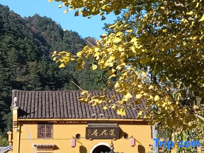 Outside