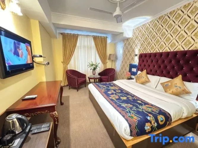 Standard Double room with city view