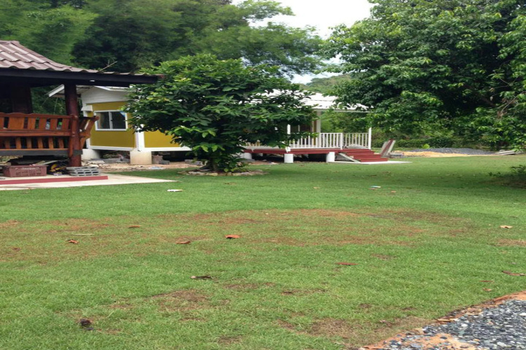 Baan Pennee