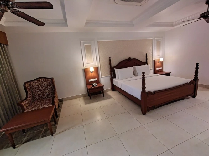 Premium Double room with balcony and with garden view