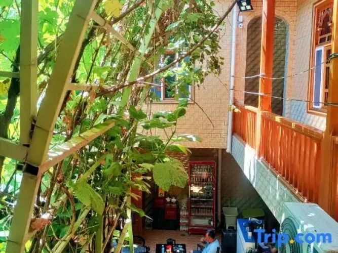 Kashgar Courtyard Style Homestay