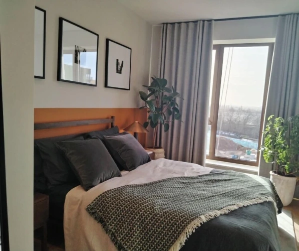 1 Bedroom Apartment