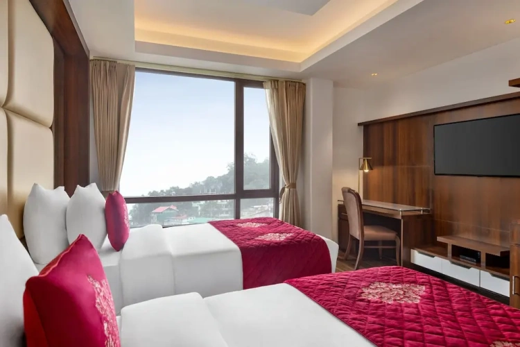 Deluxe Twin room with view