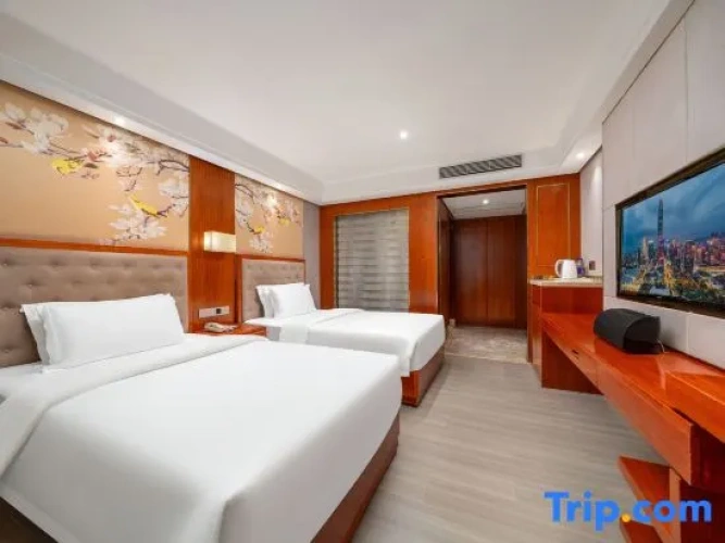 Standard Twin room with city view