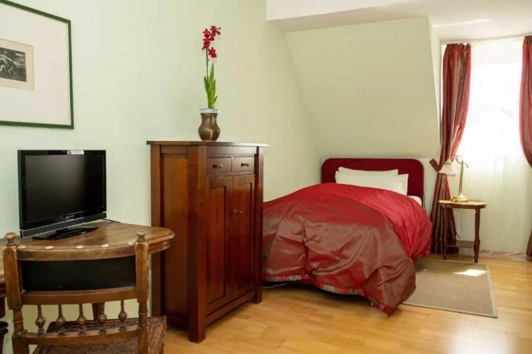 Deluxe Single room