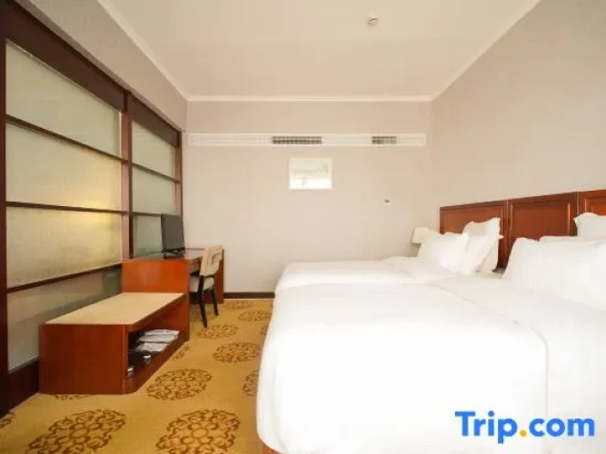 Twin Suite with city view