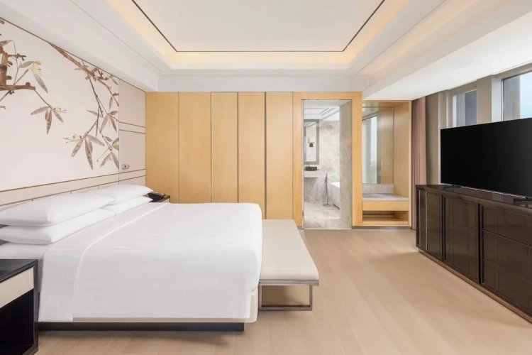 Double Club Suite with park view