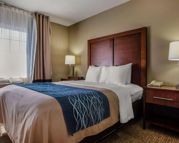 Comfort Inn & Suites Jackson - West Bend