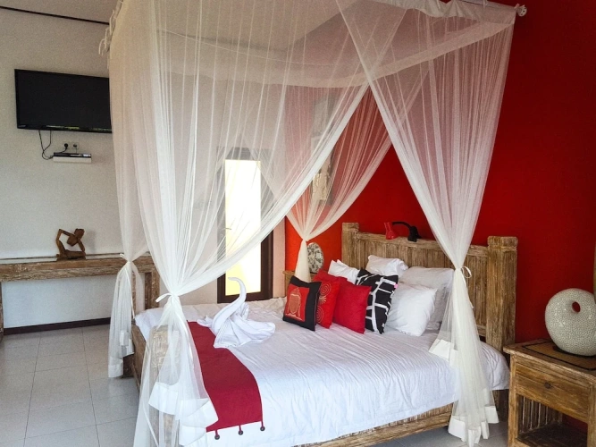 Standard Double room with ocean view