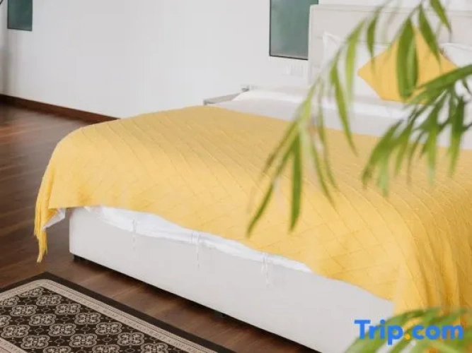 Bed in Dorm