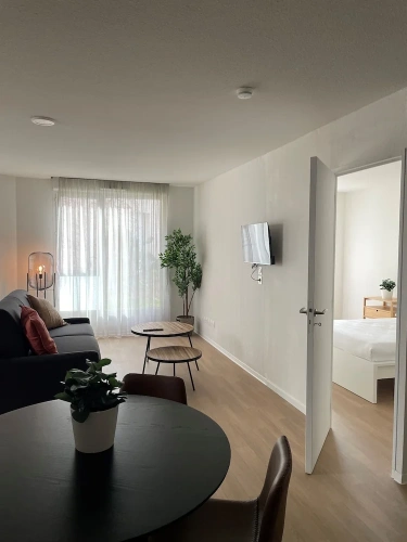 Comfort Apartment