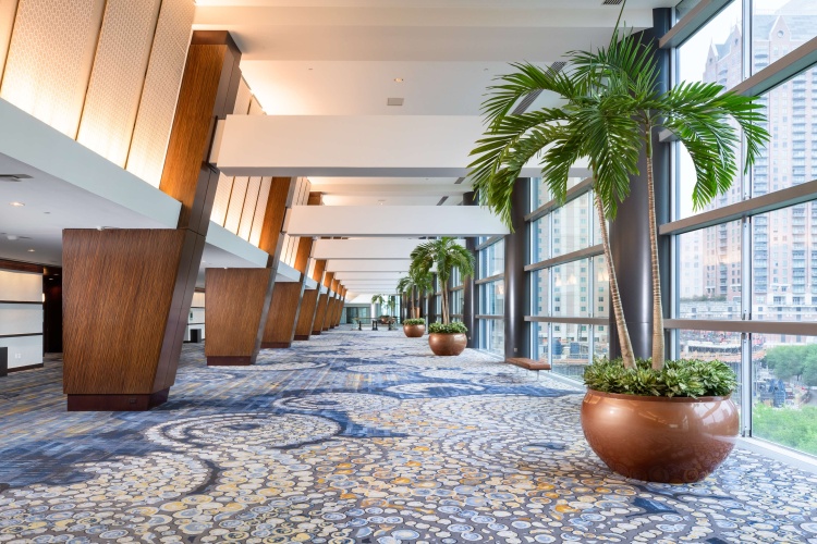 Hilton Americas-Houston photo 17