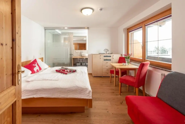 1 Bedroom Apartment