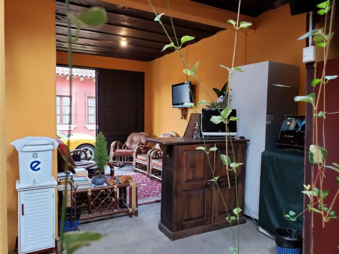 Parrot House